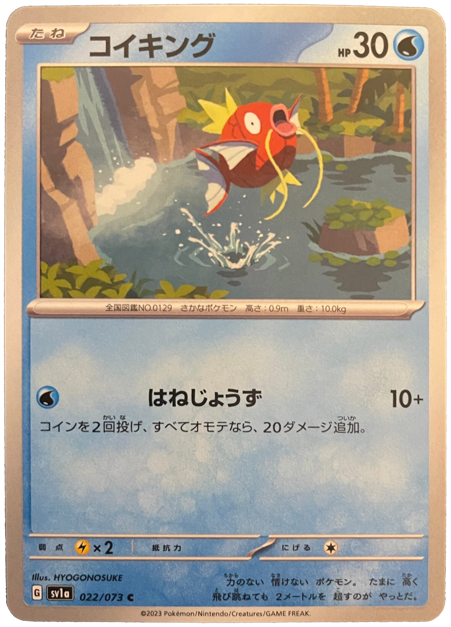 The actual Japanese Magikarp card: sv1a 022/073 C, illustrated by HYOGONOSUKE